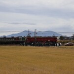 杭州飯店 - 弥彦山をバックにありがとうEL号と撮り鉄