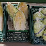 ハーブカフェ　ららら - キャベツがでかくて安い↑