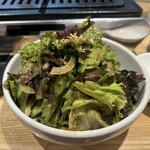 人情焼肉ONIKUちゃん - ONIKUちゃんサラダ（2人前）です。野菜の鮮度もさることながらドレッシングが絶品で、単品でも良し・お肉と一緒に食べても良しの一品です。