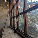 CLAMP COFFEE SARASA - 