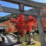 洋食 おがた - 永観堂