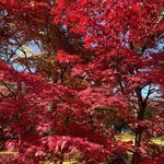 洋食 おがた - 永観堂