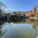 いせや総本店 - 井の頭公園