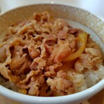SUKIYA Juhachigo Karuizawa Ten - Gyudon – Close-up