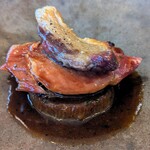 SETTAN - 「仔イノシシ」