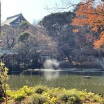 いせや総本店 - 井の頭公園