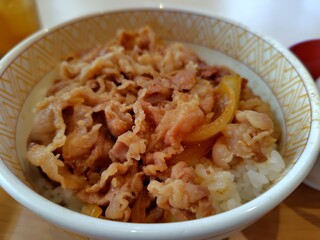 SUKIYA Juhachigo Karuizawa Ten - Gyudon – Close-up