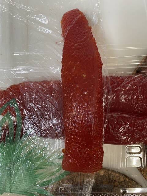 高寅 - 秋田（その他）の写真