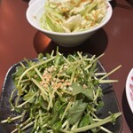 虎ノ門パイロン - お通しのキャベツ　豆苗入りのパクチーサラダ
