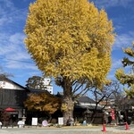 カミカケ茶屋 - 銀杏