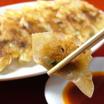 Fried Gyoza / Dumpling (7 pieces)