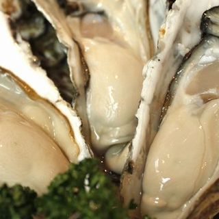 産地から直送の新鮮な旬の牡蠣