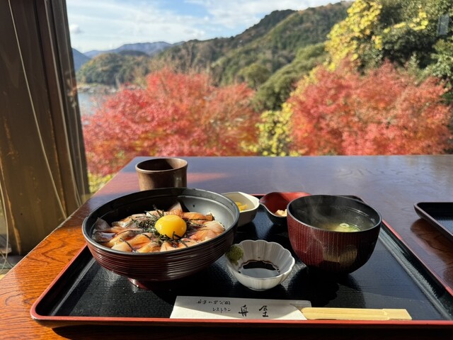 レストラン 舟屋 （ふなや） - 伊根町その他/海鮮 | 食べログ