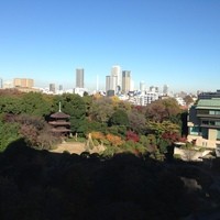 イル・テアトロ - 椿山荘の15階から見下ろす朝の景色