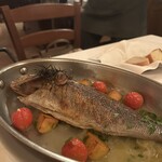 トラットリア シチリアーナ・ドンチッチョ - 