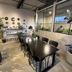 SANYO PLANTS - 