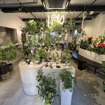 SANYO PLANTS - 