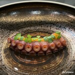 カーサ・デル・チーボ - 目にも美しい蛸の溺れ煮