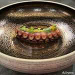 カーサ・デル・チーボ - 目にも美しい蛸の溺れ煮