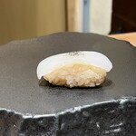 京橋 鮨 好日 - アオリイカ