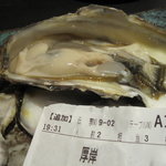 酒徒庵 - 厚岸のカキ