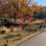 蕎野 - 清流里山公園