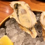 福島 牡蠣と肉たらし ビストロKAI - 
