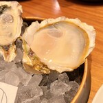 福島 牡蠣と肉たらし ビストロKAI - 