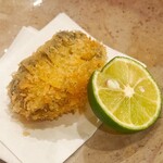 貴山 - 蝦夷鮑かな？