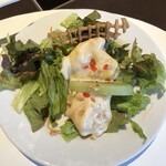 チャイナ 梅の花 - 