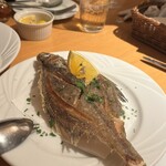 豪快イタリアン食堂 DESERT - 