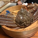 網元本館 - 