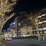 表参道バル エルヴエロ - 