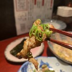 鳥刺し酒場 スタンドくーま君 - 