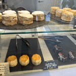 OCTA SCONE - 