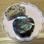 OCTA SCONE - 