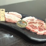 肉の変態集団 疾風ホルモン - 