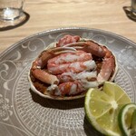 吉祥じ 和こん - 今回のメイン　せいこ蟹　食べてみてください