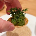 Bekk - "循環"　海・山・土（至近距離）