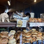 ネイビー ベーグルズ - 