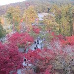 卯サギの一歩 - 南禅寺・山門からの眺望