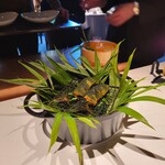 レフェルヴェソンス - 