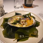 レフェルヴェソンス - 