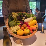 レフェルヴェソンス - 