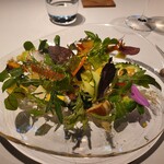 レフェルヴェソンス - 