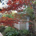 石葉 - ほれほれ