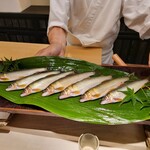 天婦羅 くすのき - 