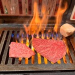 ホルモン人生タロちゃん - 