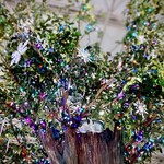 すしやのたい悟 - 上尾駅のツリー2/2