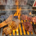 ホルモン人生タロちゃん - 